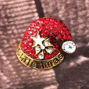 Christmas Santa Hat Brooch